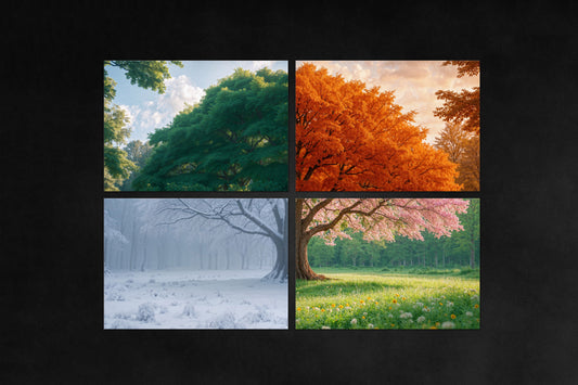 Nature’s Cycle | Timeless Grove Collection