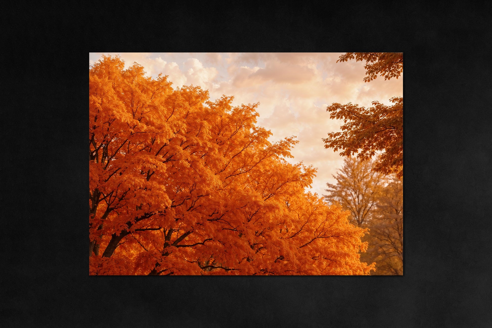 Nature’s Cycle poster - four-season metal magnetic wall art from Timeless Grove - Autumn