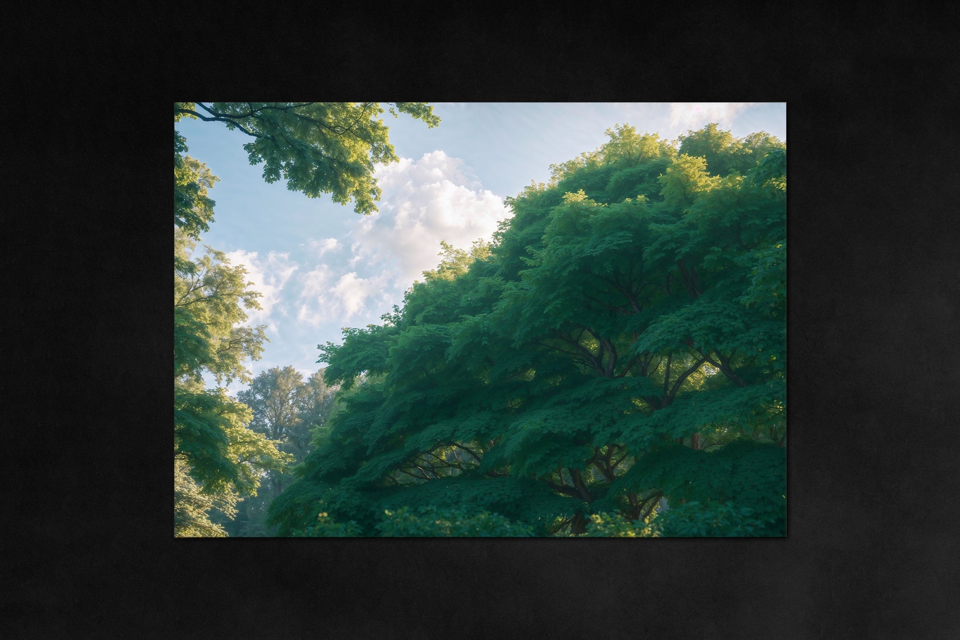 Nature’s Cycle poster - four-season metal magnetic wall art from Timeless Grove - Summer