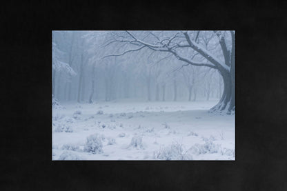 Nature’s Cycle poster - four-season metal magnetic wall art from Timeless Grove - Winter